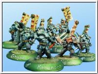 9874 - Maygonen troop of verterans